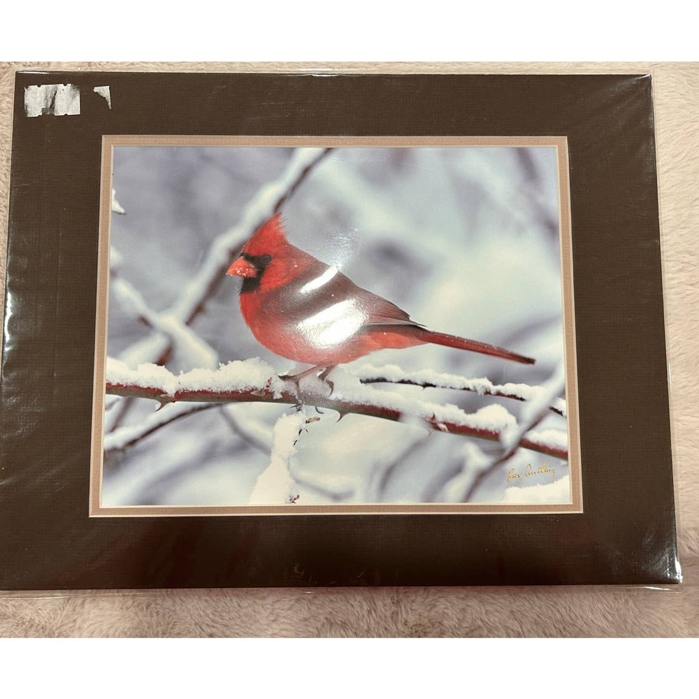 Unframed Wild Bird Photography with a Double Matte